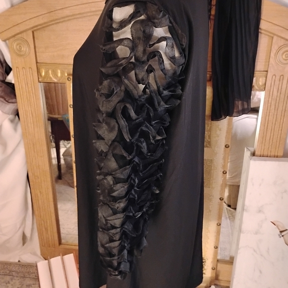 Nina Leonard Mesh Balloon Sleeves Elegant Black Dress. Loose Fit. Size Medium. - Picture 4 of 13